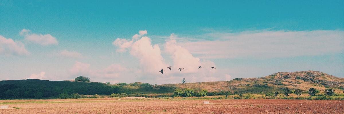 HawaiiShoots's profile banner image