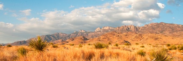 CEMEXNature Profile Banner