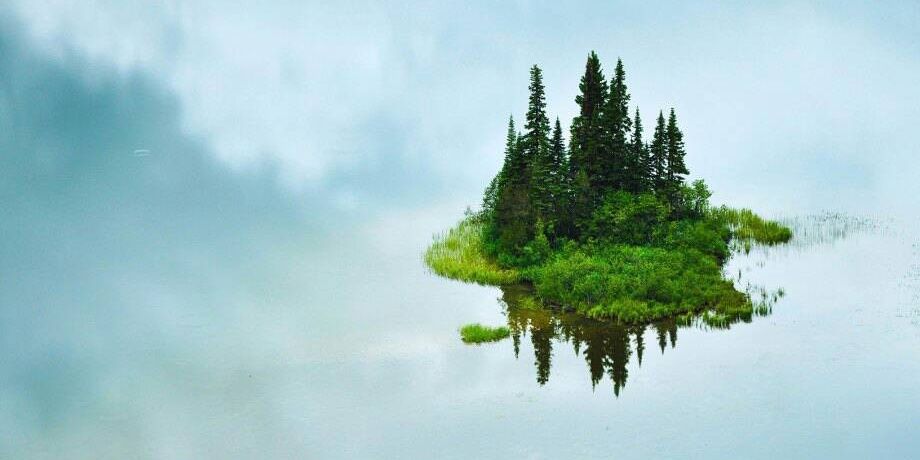 pmackay8's profile banner image