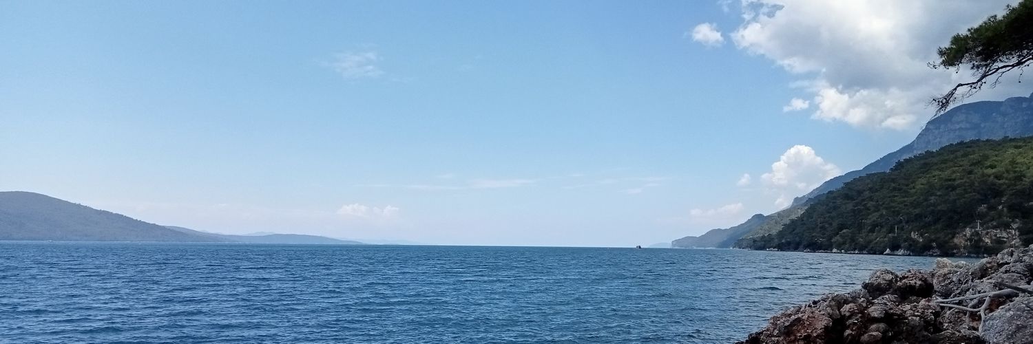 farfaregy's profile banner image