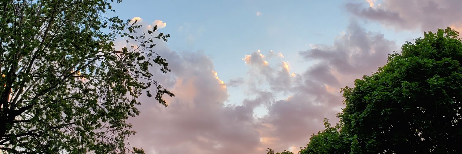 LPalarchio's profile banner image
