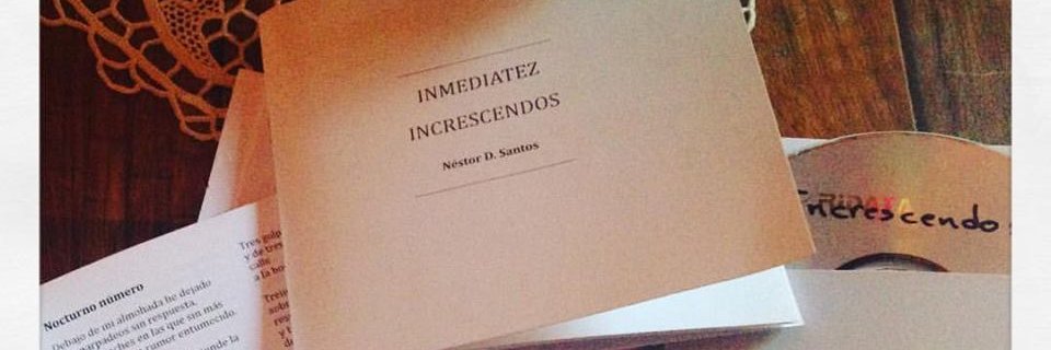 Néstor Daniel Santos banner