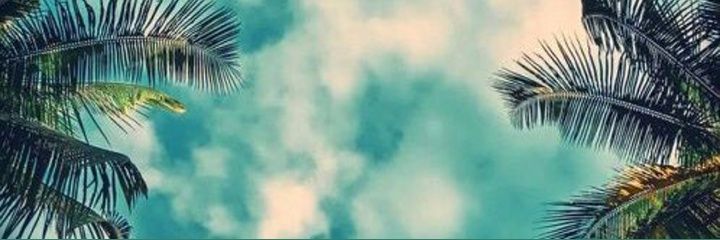thrillzonpoint's profile banner image