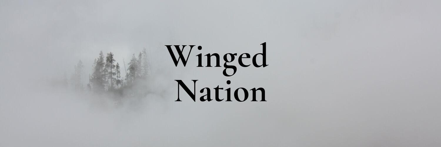 wingednationWM's profile banner image