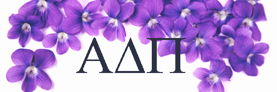 Central District ADPi banner