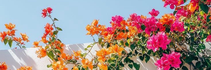 mirelispr's profile banner image
