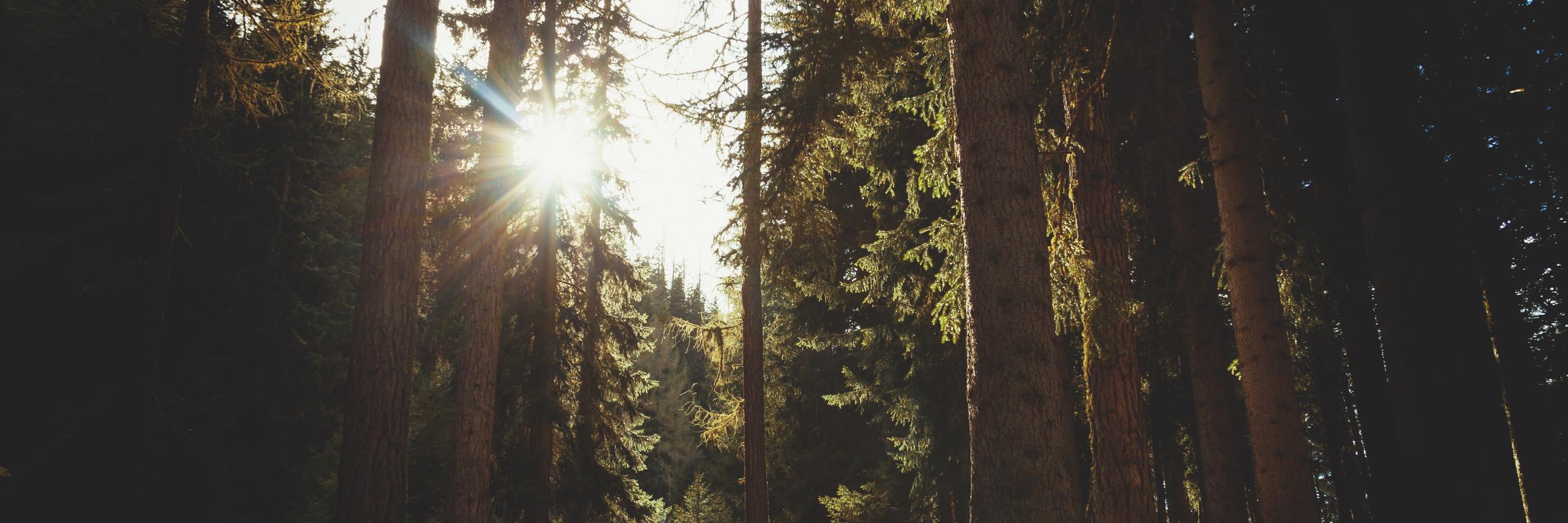stevendk's profile banner image