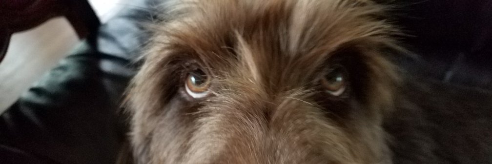 billarciprete's profile banner image