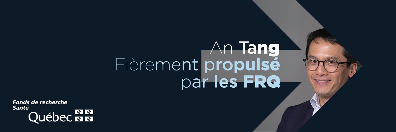 An Tang banner