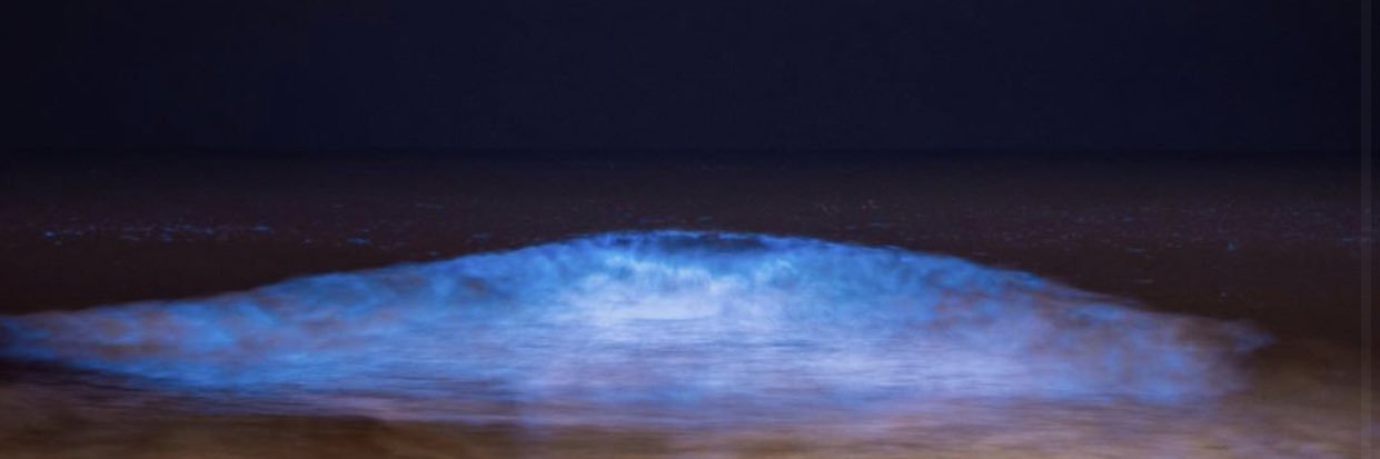 Lyssaa_Marie's profile banner image