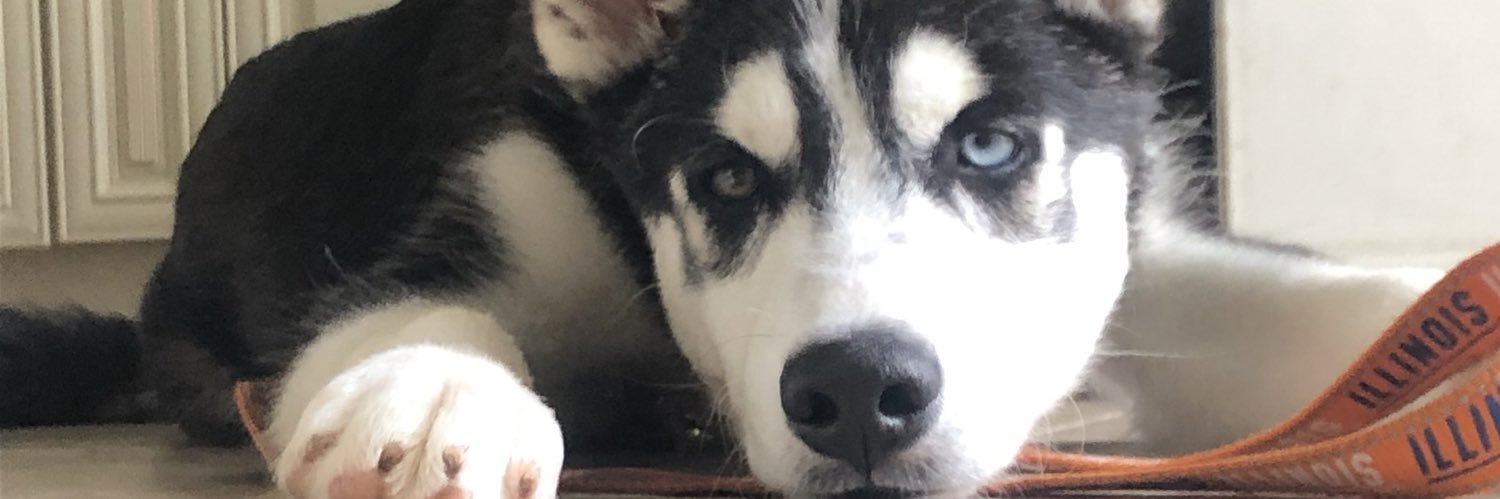 JayRome12's profile banner image