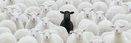 Young Chief Maazi Chimkalifa banner