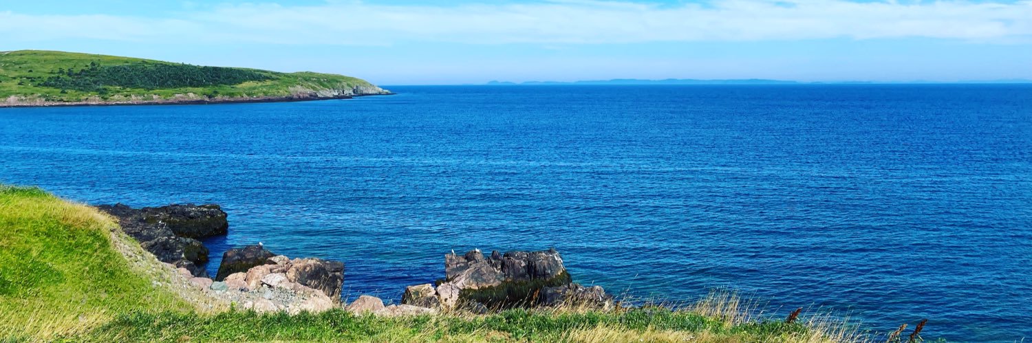 Mike Valiquette banner