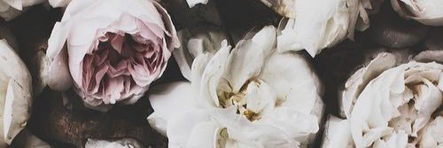 marylopez65's profile banner image