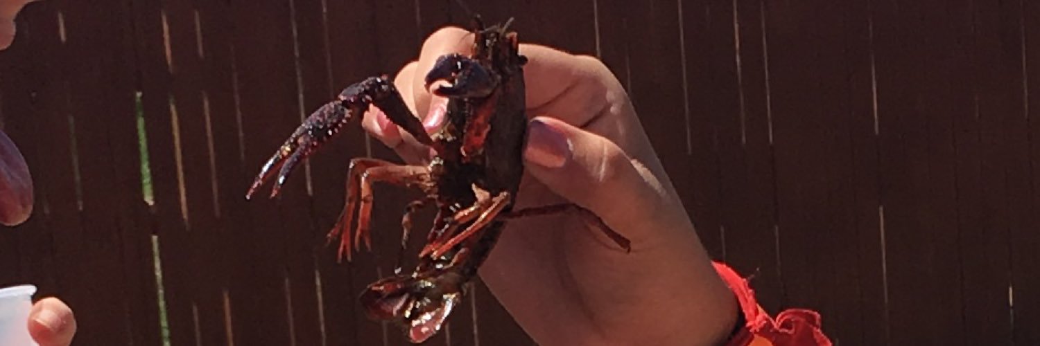 sdominguez96's profile banner image