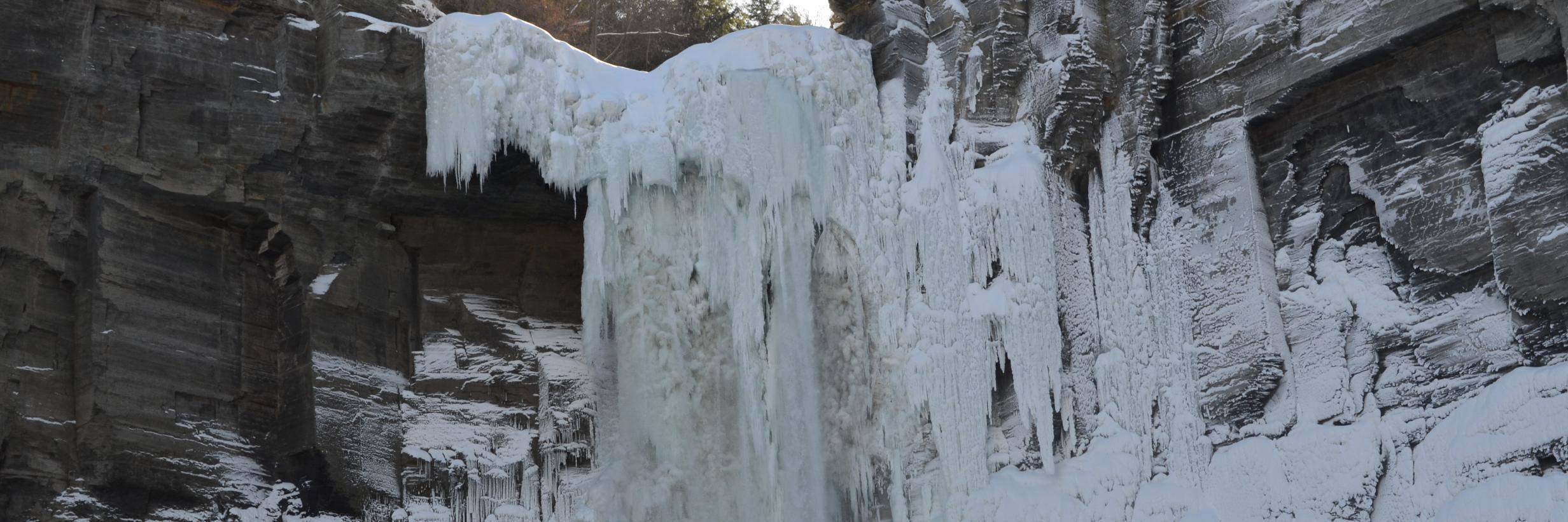 Rahmtin Rotabi banner