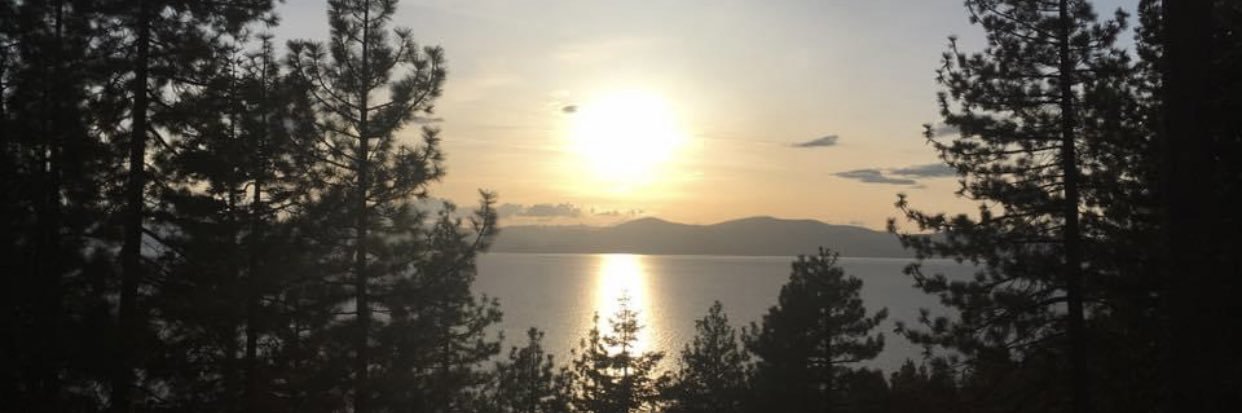 Eric Gallichio banner