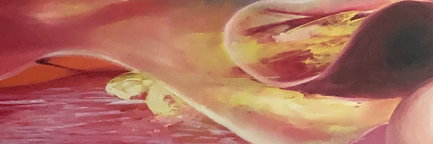 Nov_48391's profile banner image