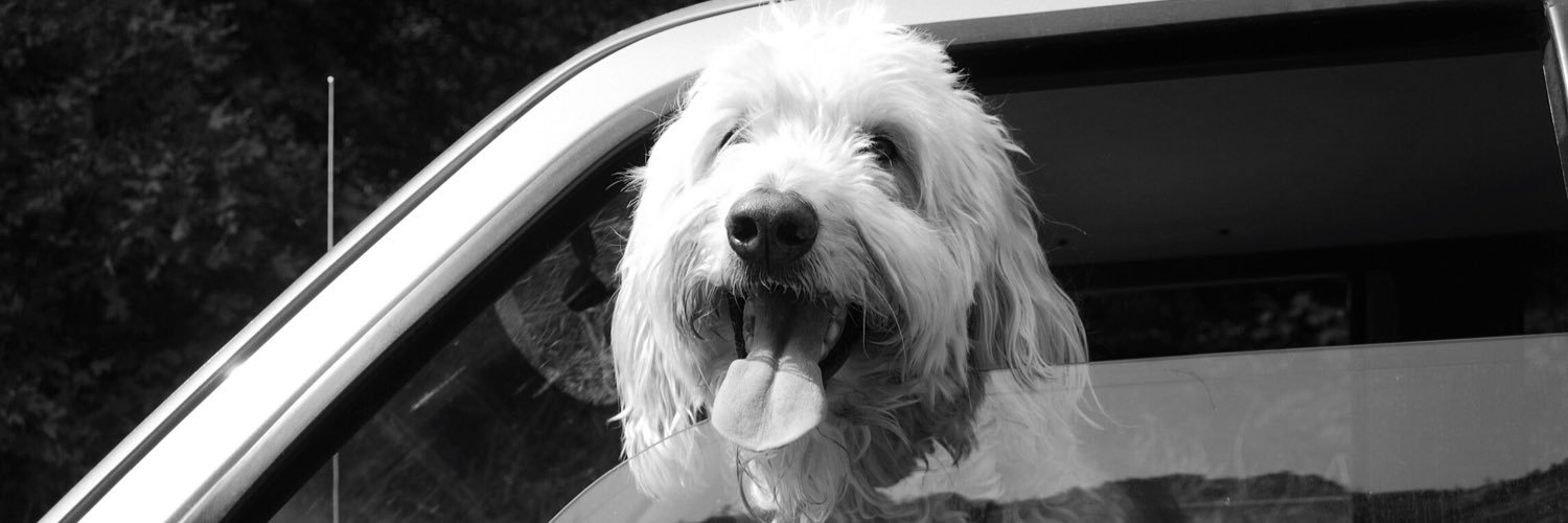 bosswesome's profile banner image