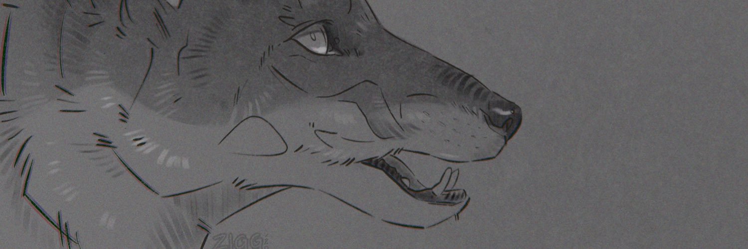 Ziggatino's profile banner image