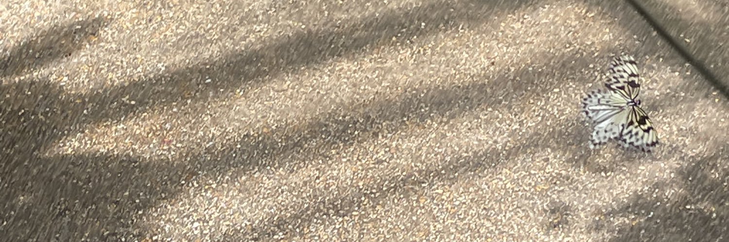 oldaccount313's profile banner image