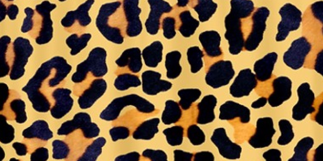 HayleeKidd's profile banner image