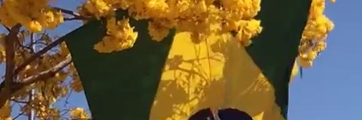 ronaldopcf's profile banner image