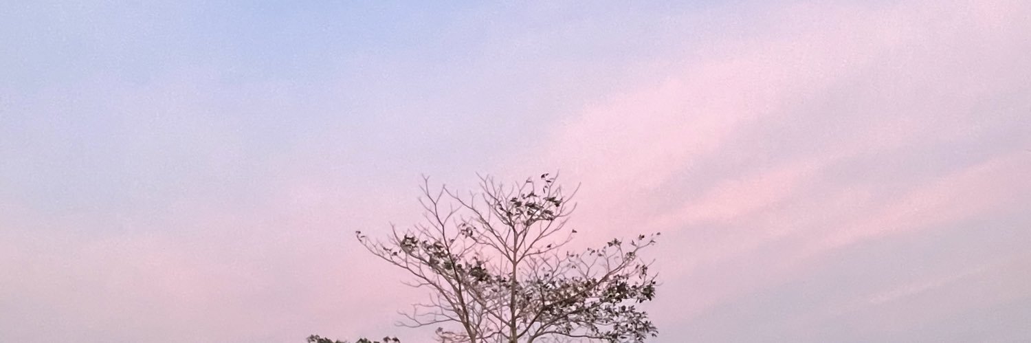 GabrielSant1's profile banner image