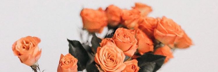 Megs_Qt2's profile banner image