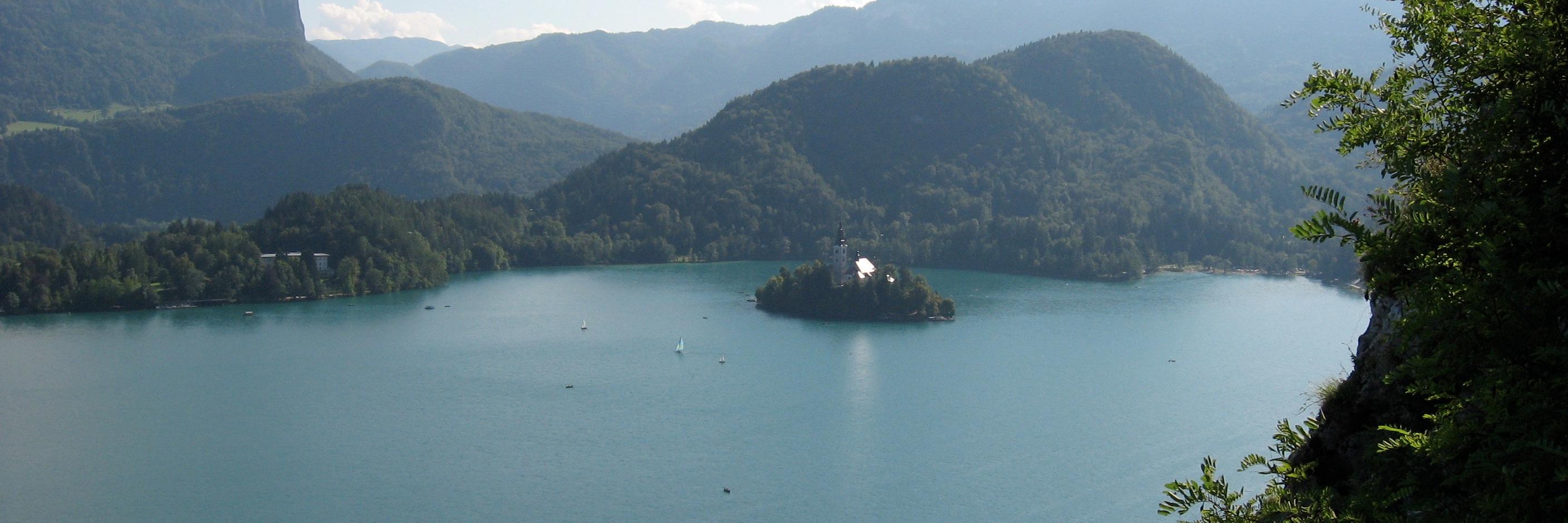 Beth Marie Mole (she/her) banner