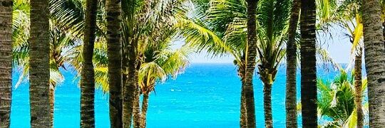 armando_alons0's profile banner image