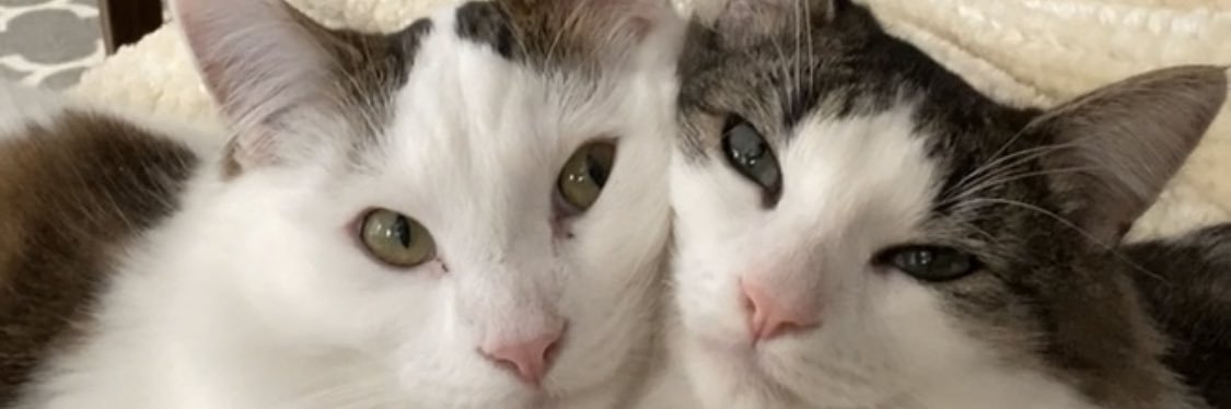 Berry_Nice15's profile banner image