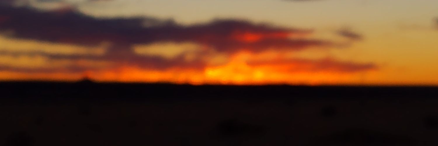 lady4rob's profile banner image