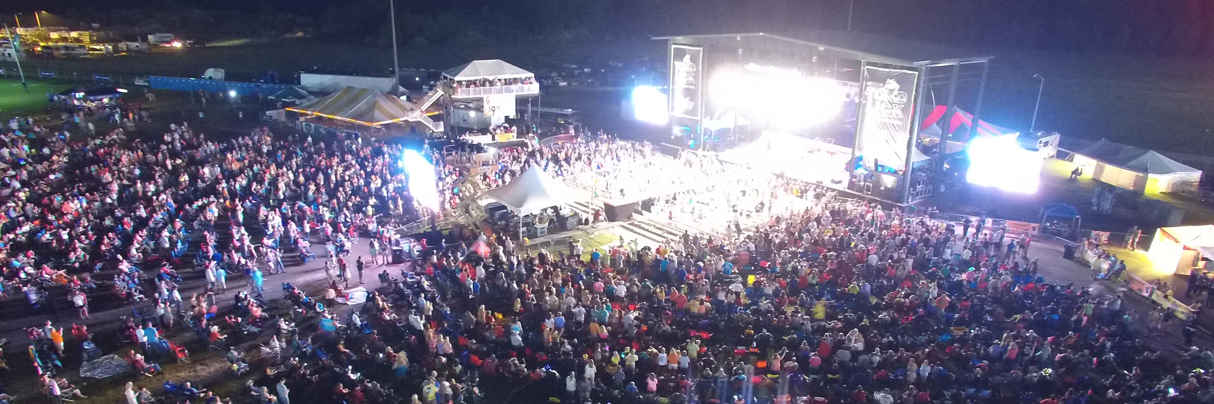 Toadlick Music Fest banner