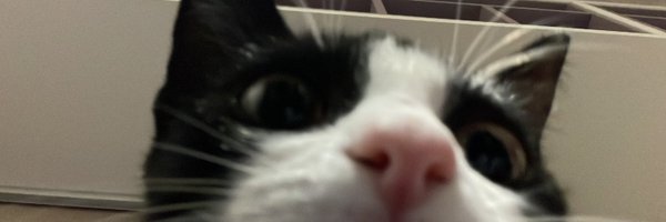 OffWhtDev Profile Banner