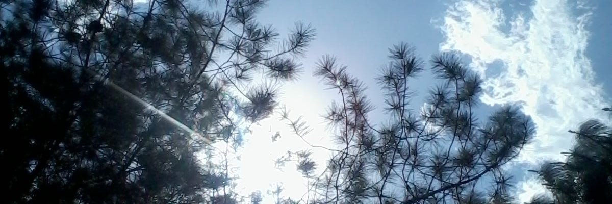 antonio_silveri's profile banner image