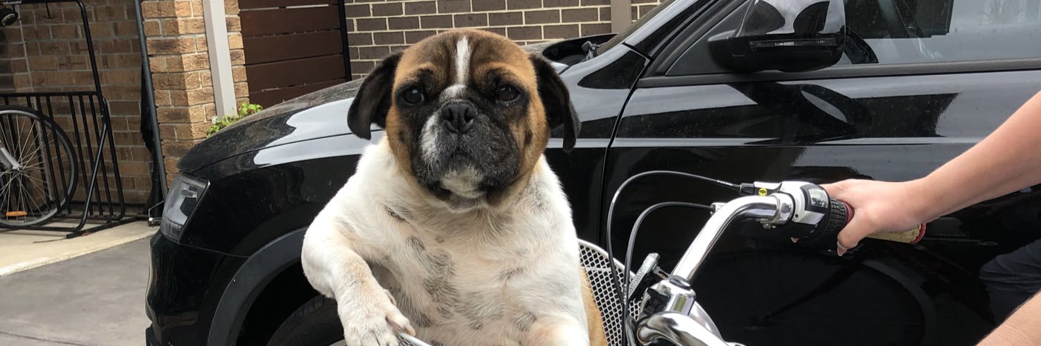 David O'Neill banner