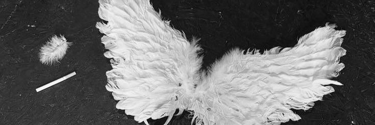 Brianni Hartley. banner