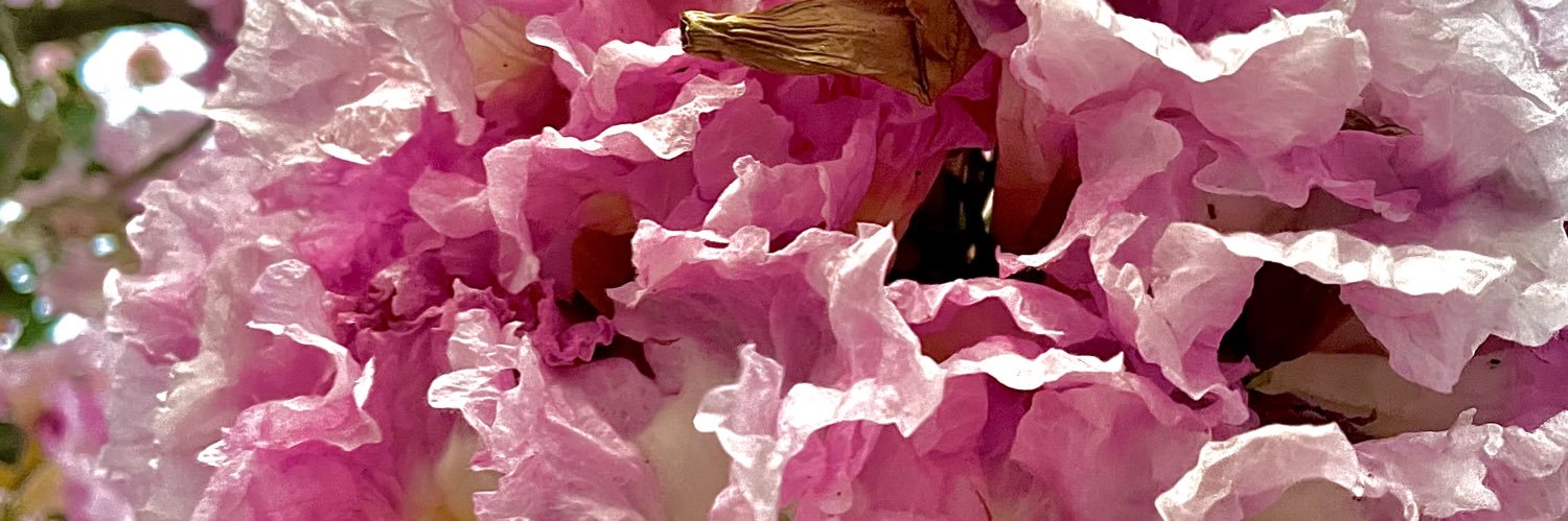 Yafcross's profile banner image