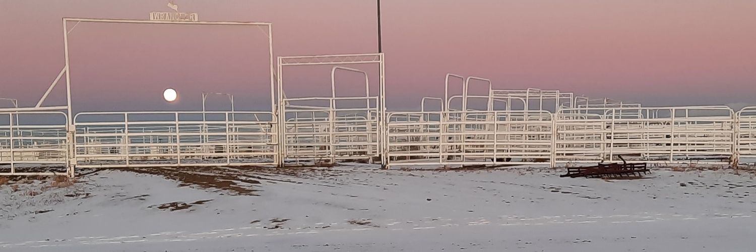 whiteantelope2's profile banner image
