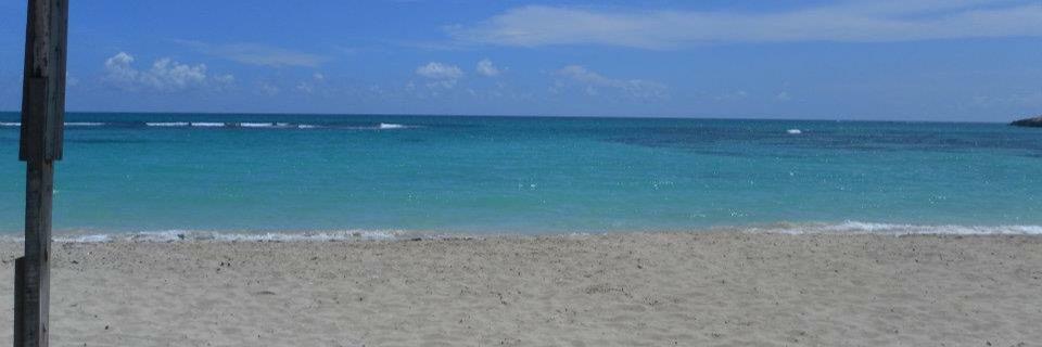 yvette_smith1's profile banner image