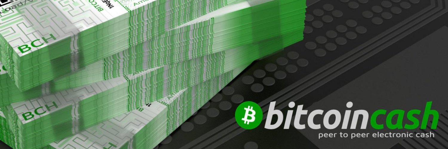 SkyHODL's profile banner image