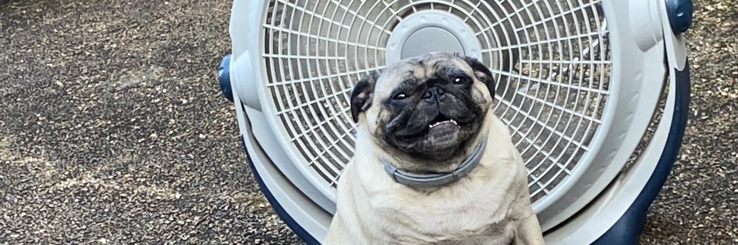 Reeca Elliott banner