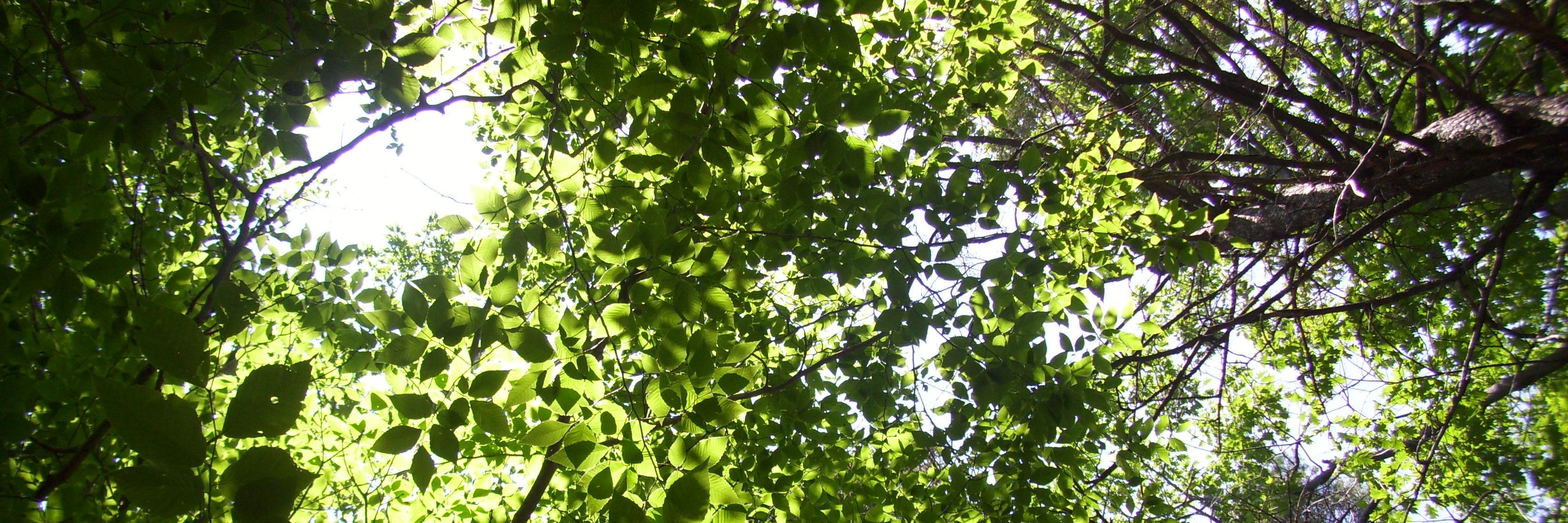 HarrisSharris5's profile banner image
