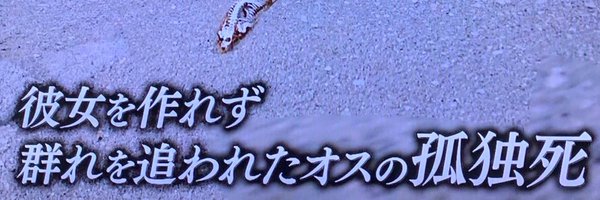 22722486d Profile Banner