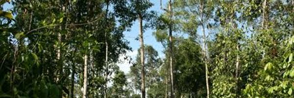 just_iyah Profile Banner