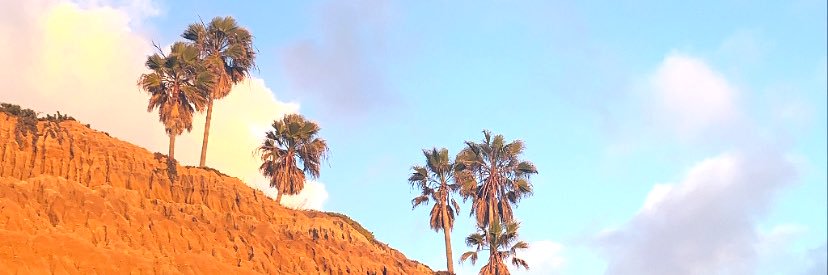 KelsiBarso's profile banner image