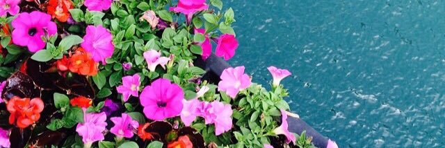 deney_'s profile banner image