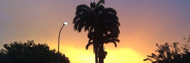 vmorillo's profile banner image