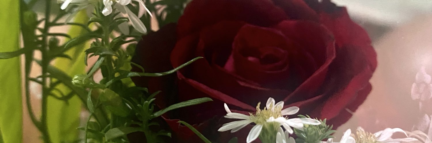aquinodenice's profile banner image